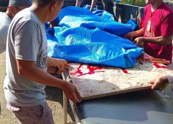 Smelter Meledak, Satu Karyawan PT Wanxiang Meninggal, Tiga Orang Alami Luka Luka