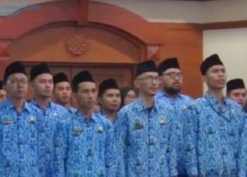 CPNS 2023 Akan Rekrut Lulusan SMA, Cek Syarat Pendaftarannya