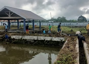 Pemdes Baleura Minta Pemkab Poso Bantu Perbaiki Bangunan BBI Yang Rusak