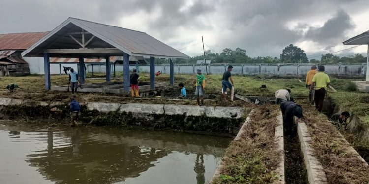 Pemdes Baleura Minta Pemkab Poso Bantu Perbaiki Bangunan BBI Yang Rusak