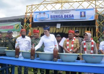 Verna Targetkan 2024 Tak Ada Lagi Desa Tertinggal Di Poso