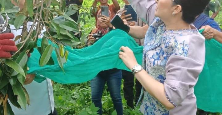 Verna Ingin Durian Taunca Bisa Jadi Komoditi Unggulan Daerah