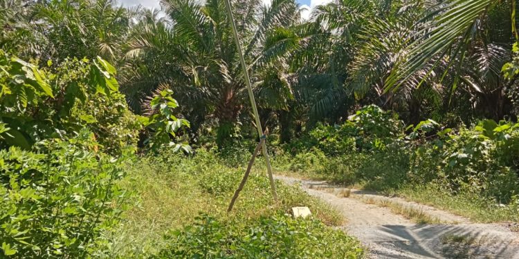 Proyek PJU Desa Membuke 2023 Di Sorot Warga