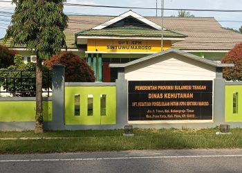 KPH Sinmar Poso Bantah Intimidasi Warga Penyadap Getah Pinus