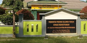 KPH Sinmar Poso Bantah Intimidasi Warga Penyadap Getah Pinus