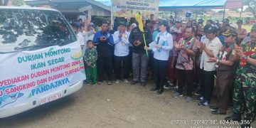 Verna Lepas Ekspor Durian Beku Ke Tiongkok dan Thailand