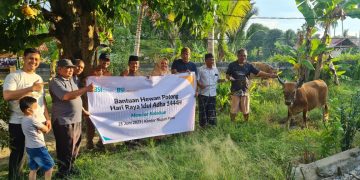 BSI Serahkan 3 Sapi Kurban Ke Pemda Poso