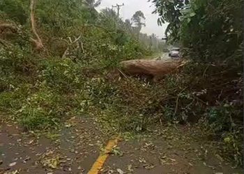 Terhambat Banjir dan Pohon Tumbang, Pertamina Patra Niaga Sulawesi Siapkan Langkah Antisipatif Jaga Pasokan BBM dan LPG 