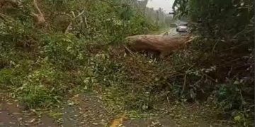 Terhambat Banjir dan Pohon Tumbang, Pertamina Patra Niaga Sulawesi Siapkan Langkah Antisipatif Jaga Pasokan BBM dan LPG 