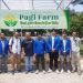 Tanam Harapan di Tengah Beton: UPER Hadirkan Urban Farming yang Ramah Lingkungan