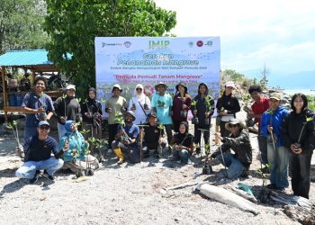 IMIP Gandeng Generasi Muda Tanam Mangrove di Teluk Palu, Sulawesi Tengah
